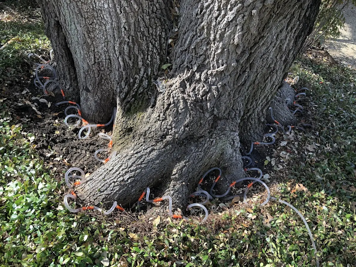 Detailed Shrub and Hedge Trimming job site in Mc Lain